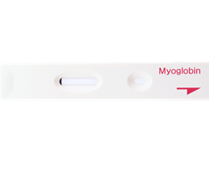 Myoglobin