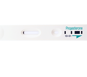 Progesterone