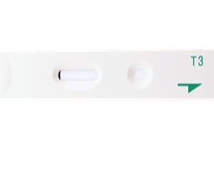T3