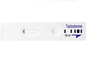 Testosterone